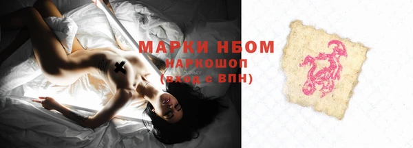ПСИЛОЦИБИНОВЫЕ ГРИБЫ Елизово