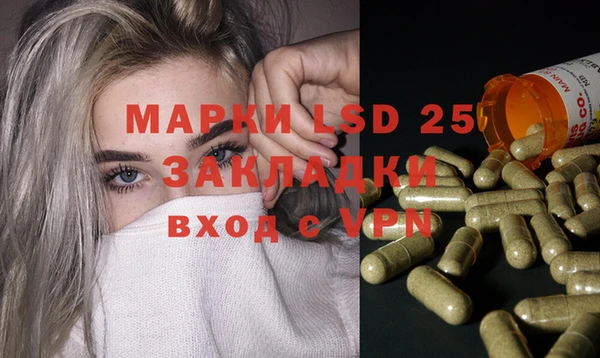 ПСИЛОЦИБИНОВЫЕ ГРИБЫ Елизово