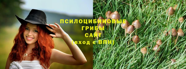 таблы Елабуга