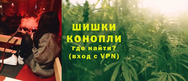 ПСИЛОЦИБИНОВЫЕ ГРИБЫ Елизово